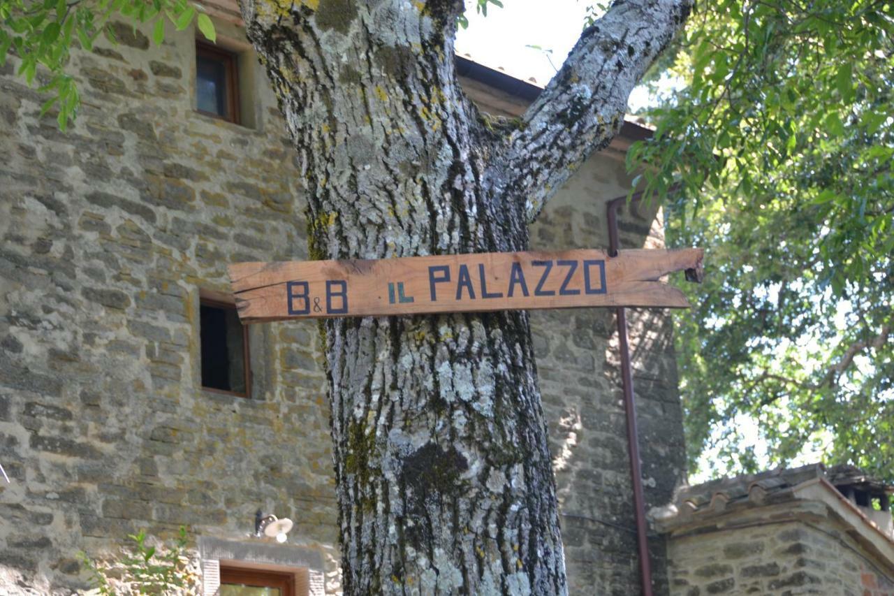 B&B Il Palazzo Sansepolcro Ngoại thất bức ảnh