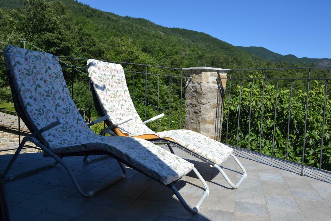 B&B Il Palazzo Sansepolcro Ngoại thất bức ảnh